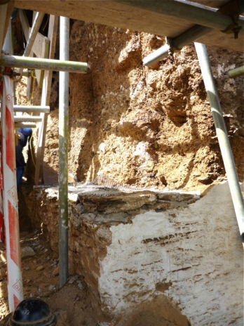 Damaged cob removed