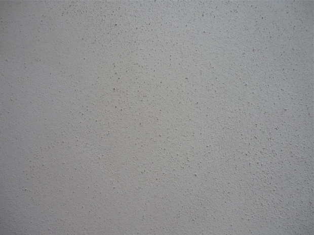 Textured Lime Plaster Top Coat