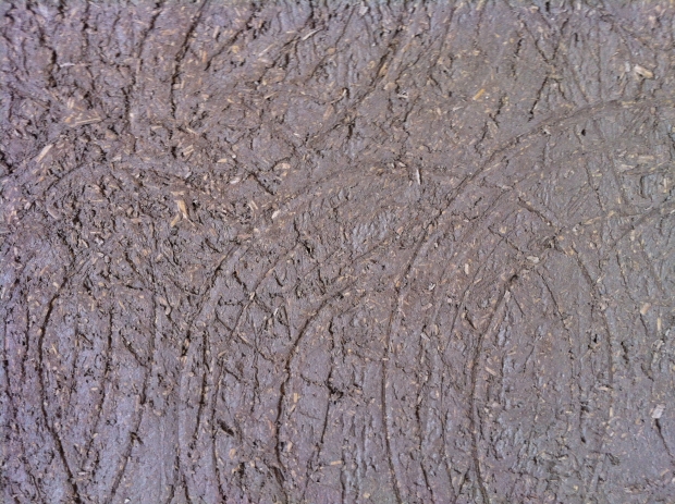 Hemp Lime Insulating Plaster