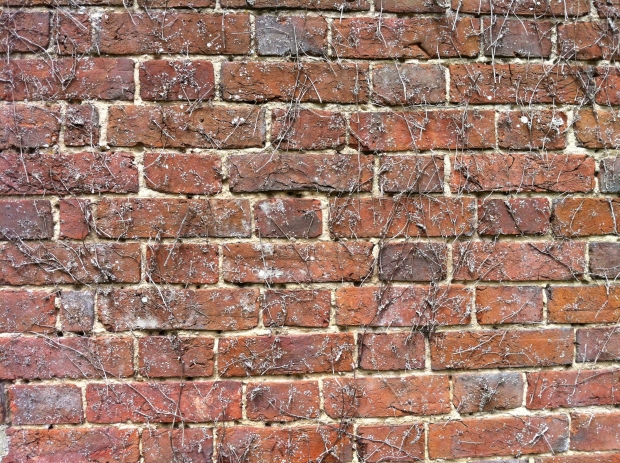 Old Brick with Ivy Removed