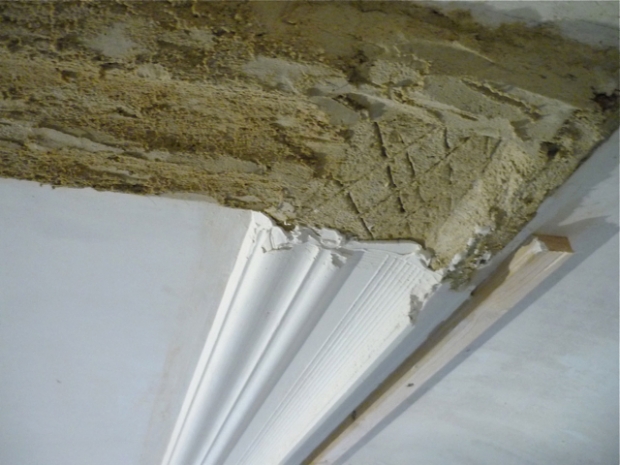 New lime cornice