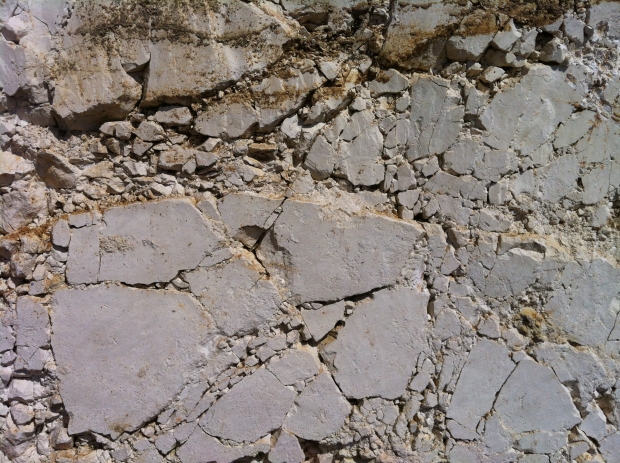 Chalk Cliff, Sussex