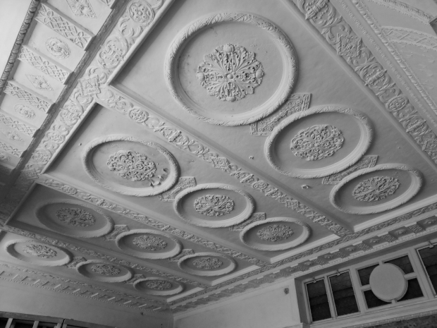 Decorative plaster ceiling reports